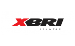 XBRI