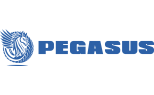 PEGASUS